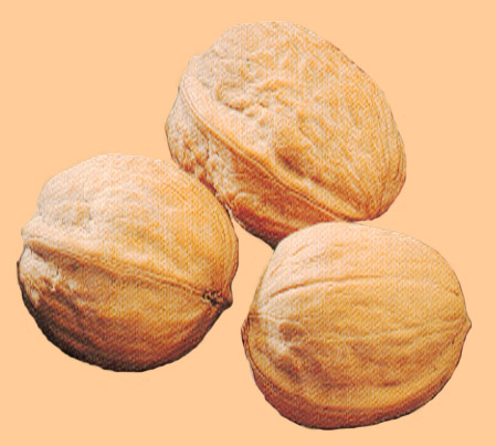 Tress Nueces