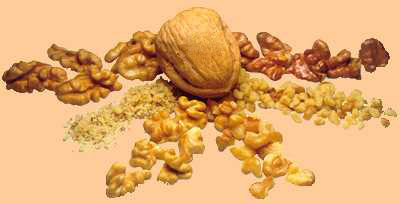 Variedades de Nueces